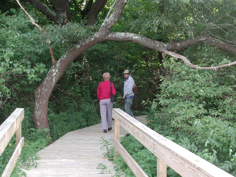 Mom and Dad under tree branch.jpg 109.4K